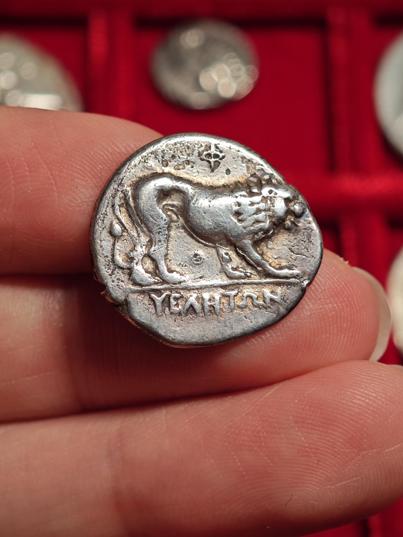 评级古希腊雅典娜和狮子银币