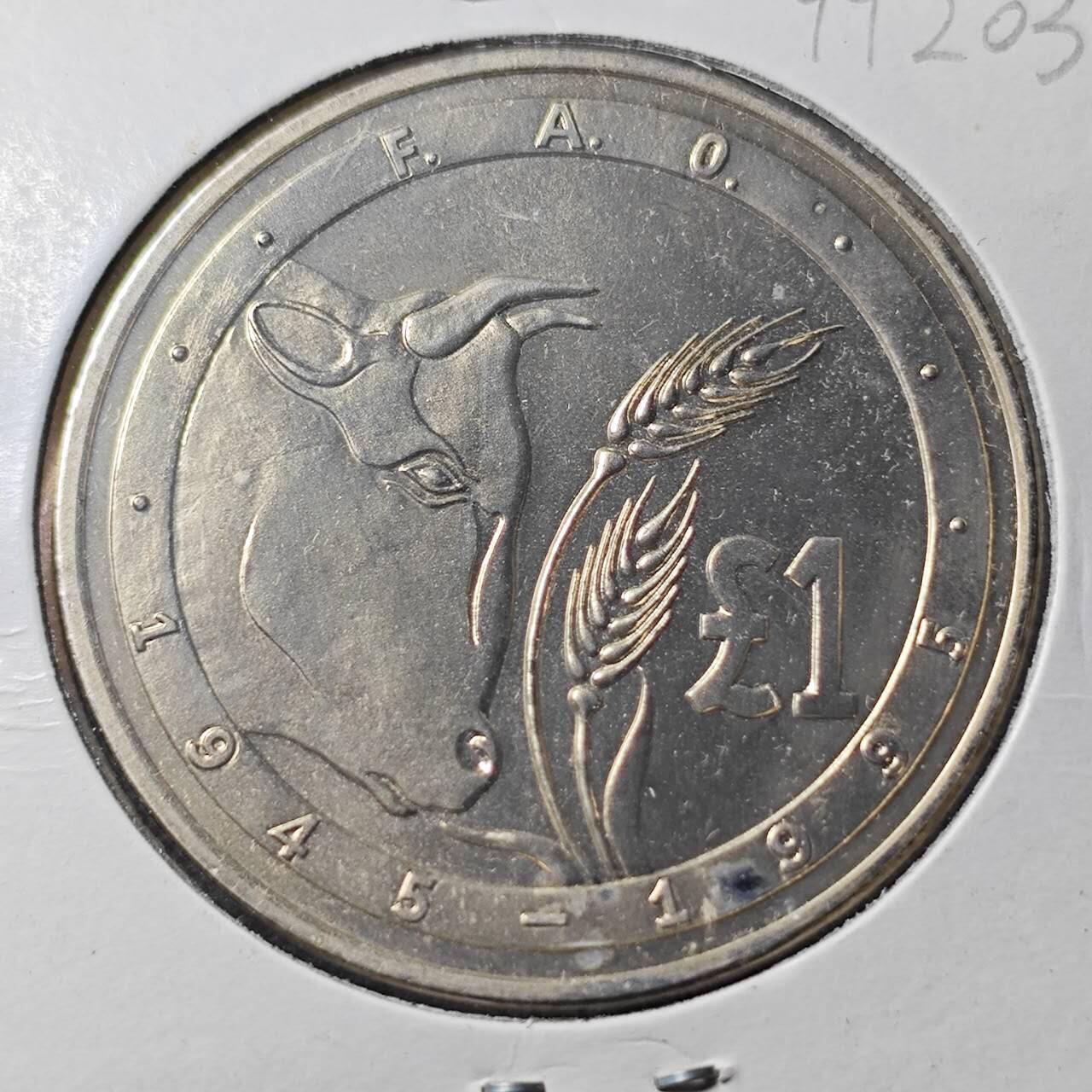 KK钱币收藏小铺  第399期  百期特拍（四拍之三）2月预留时间 周末发货  1995塞浦路斯1镑纪念币 FAO成立50周年