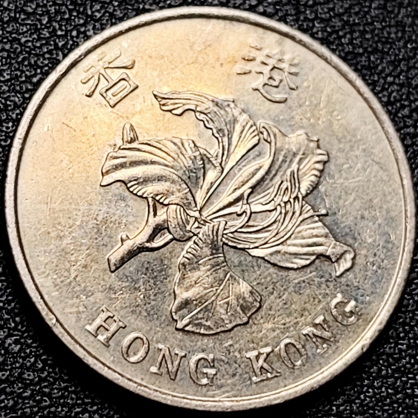 泉币菌-第175场- 精品福利场 。