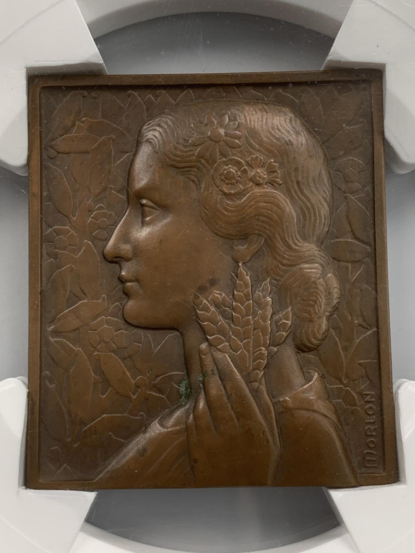 掌中浮雕-藏着的欧洲第051场  法国索姆市农业协会方形大铜章，65×56mm