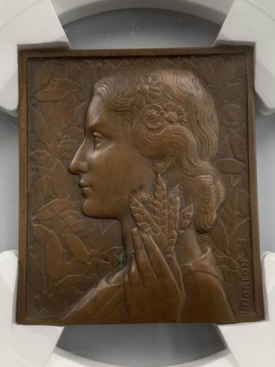 掌中浮雕-藏着的欧洲第051场 -  法国索姆市农业协会方形大铜章，65×56mm