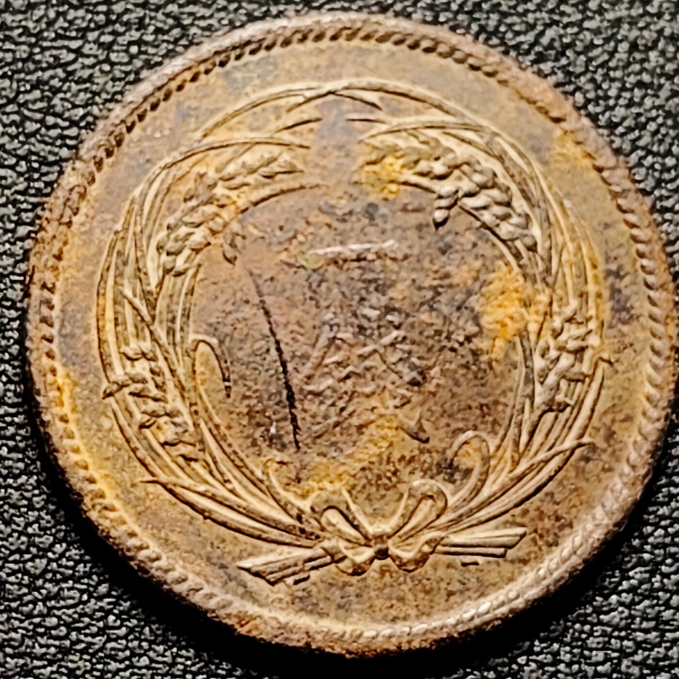 泉币菌-第176场- 精品福利场 。