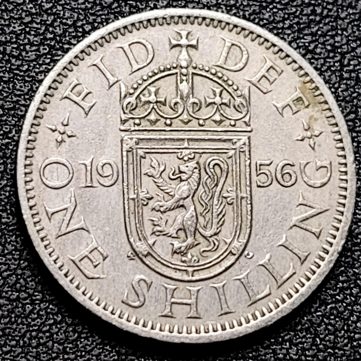 泉币菌-第176场- 精品福利场 。