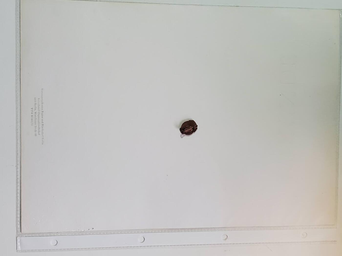 韵星假日拍卖第三十八期 -- Rimey Holidays Auction 38 民主德国社会主义功勋活动家证书带证章一套 主管亲签