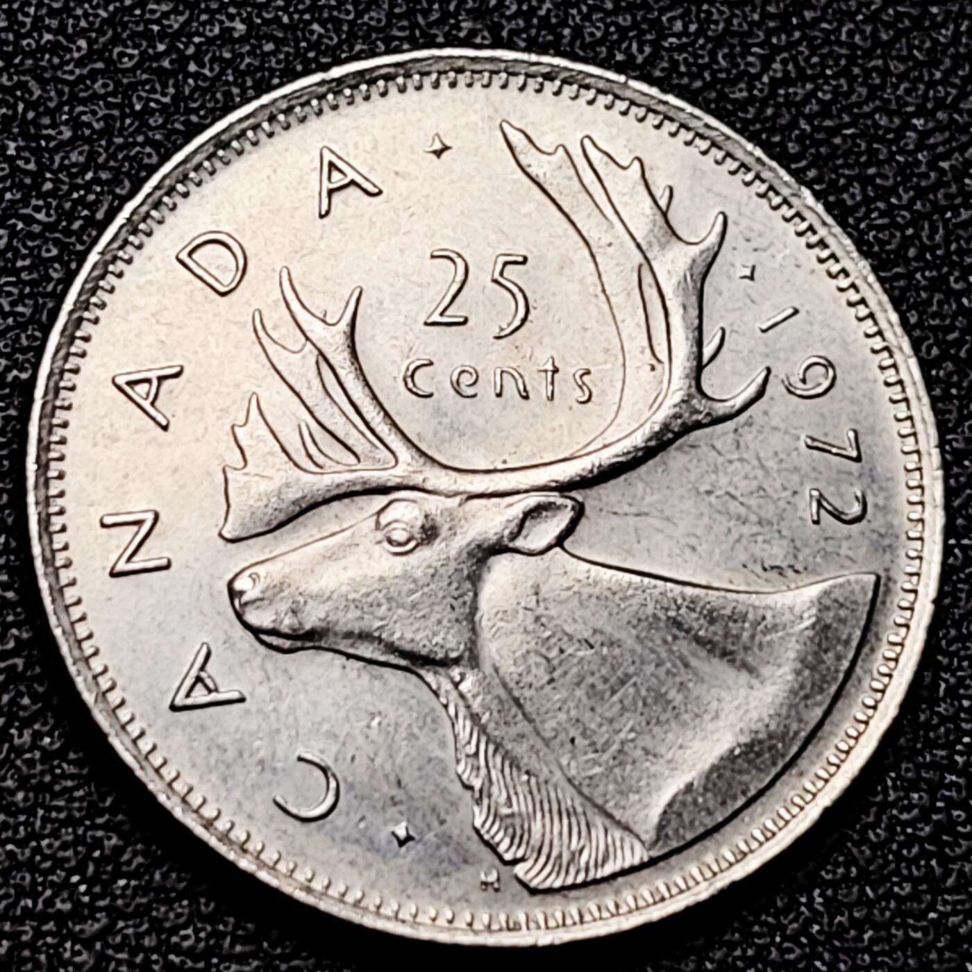 泉币菌-第176场- 精品福利场 。