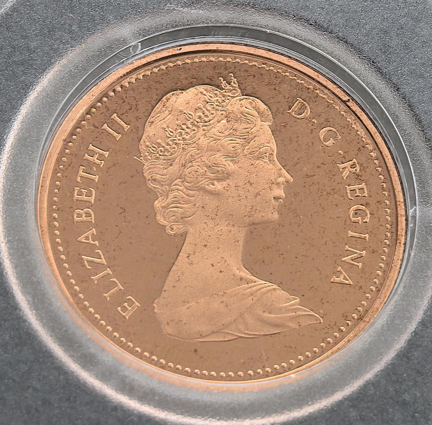 外国优质老铜币高银银币，周六九点倒数截拍，满百包邮，持续收拍 精制1981 年加拿大 1 分铜币，正面为伊丽莎白二世头像，背面饰加拿大象征枫叶，设计简约经典。铜质光泽温润，品相完好，枫叶图案辨识度高，是英联邦加国货币收藏的特色佳品，兼具艺术与收藏价值。