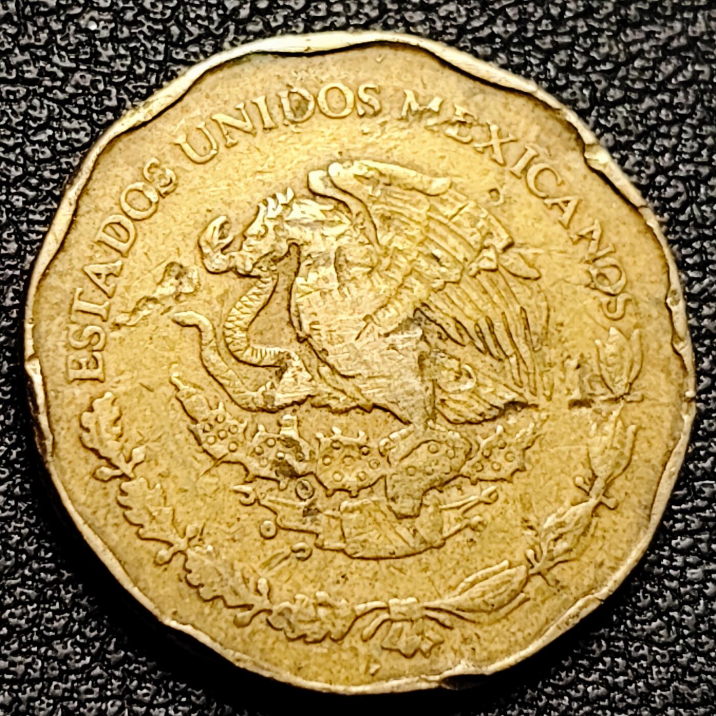 泉币菌-第175场- 精品福利场 。