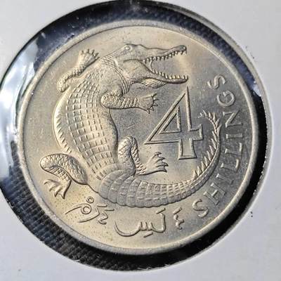 KK钱币收藏小铺  第400期  百期特拍（四拍之四）2月预留时间 周末发货 -  1966英属冈比亚4先令 好品