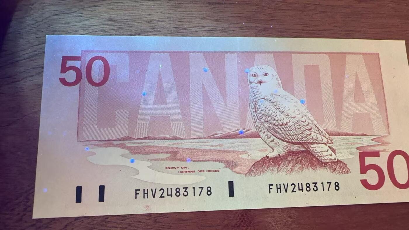 徐霞客拍卖首拍 加拿大	P-98c 1988年50元	FHV2483178	UNC-	正面主像为加拿大前总理威廉·莱昂·麦肯齐右侧为渥太华国会大厦图案。采用红棕渐变套印与精细雕刻凹印工艺，是加拿大最后一批纯纸质流通纸币之一，后被聚合物材质纸币取代。作为“鸟系列”中的大面额品种，存世量少。		