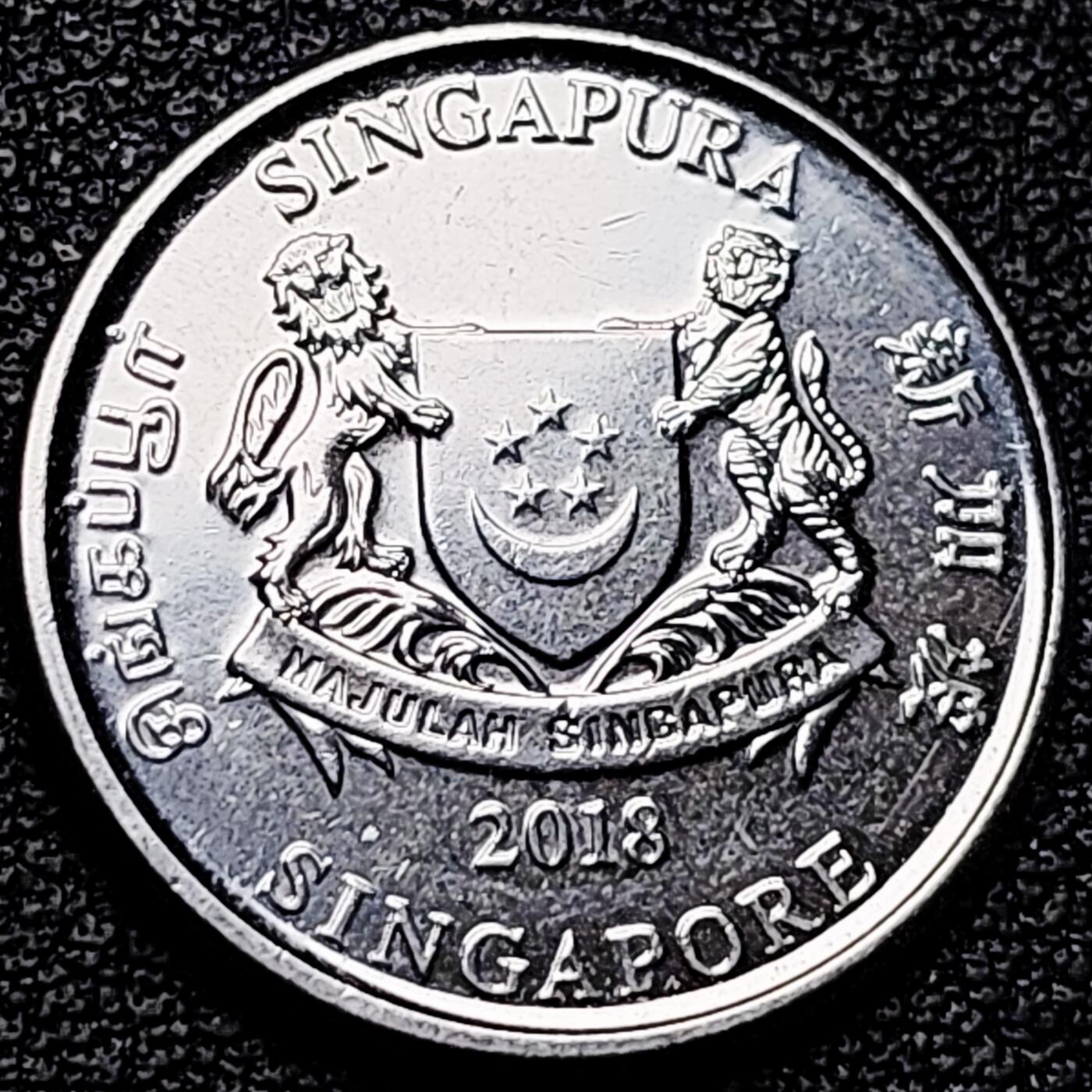 泉币菌-第176场- 精品福利场 。