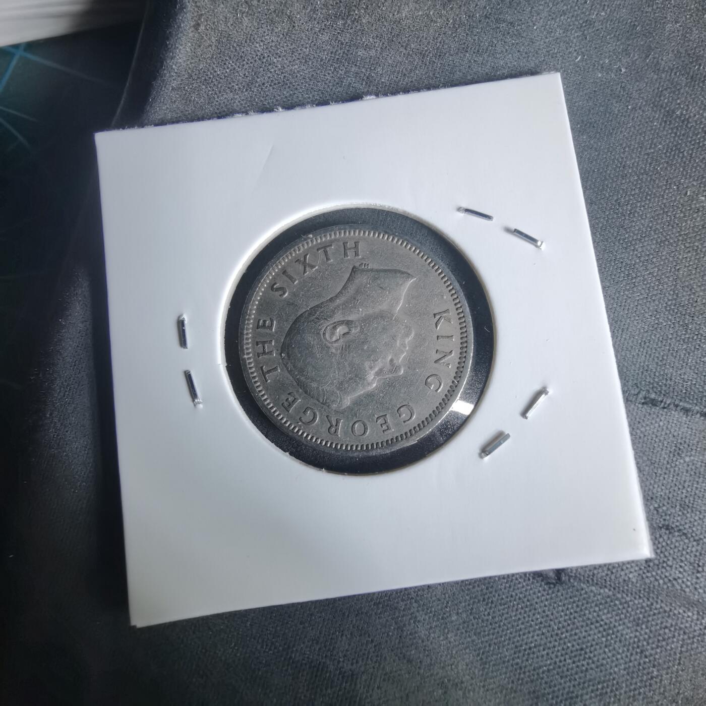 沼泽如烟--第977场