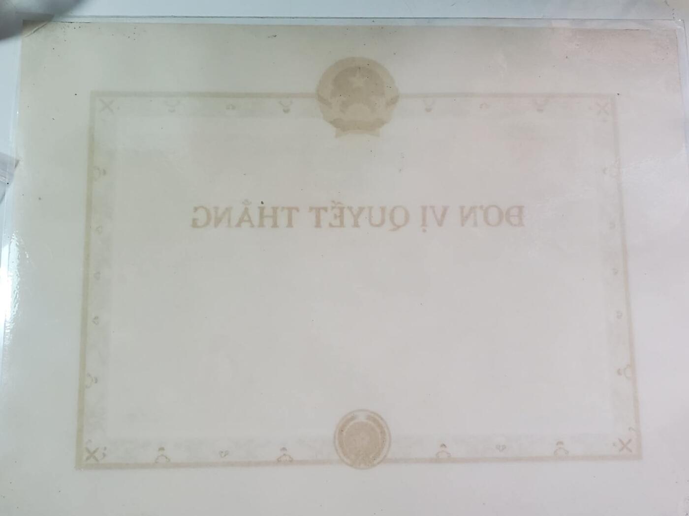 韵星假日拍卖第三十八期 -- Rimey Holidays Auction 38