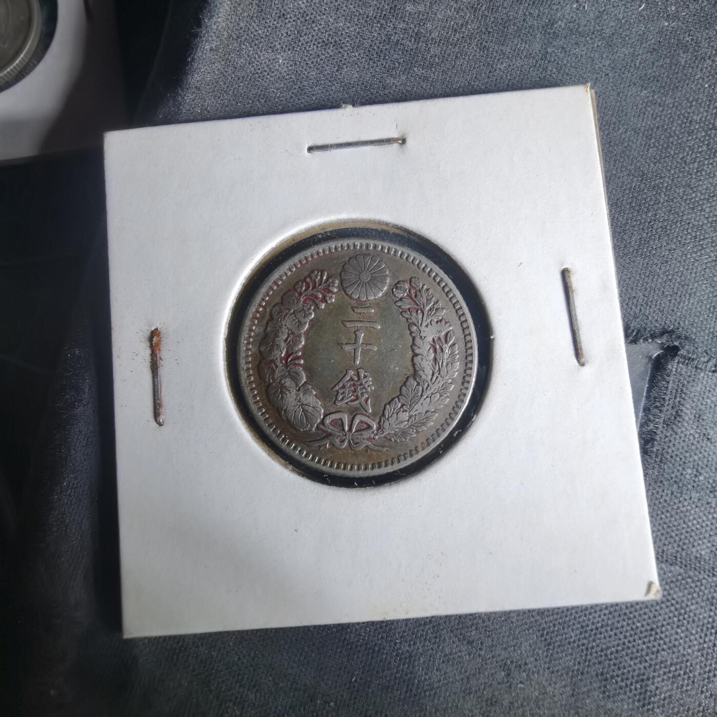 沼泽如烟--第977场