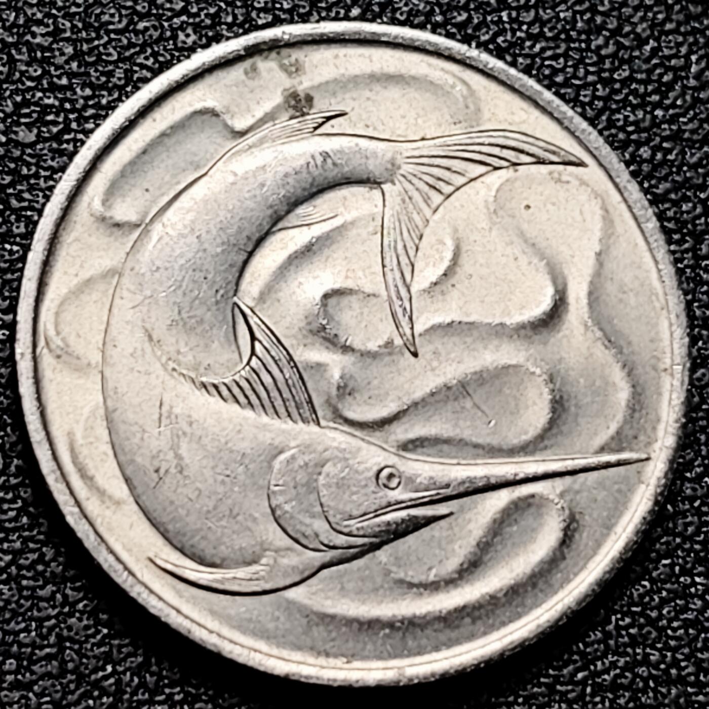 泉币菌-第176场- 精品福利场