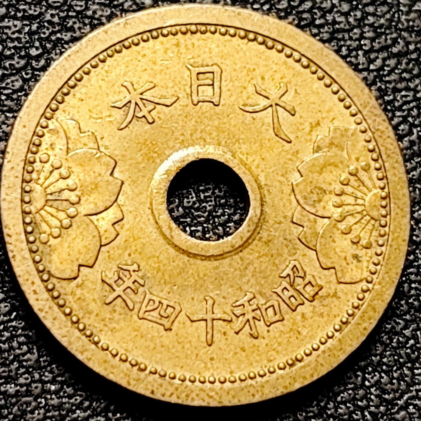 泉币菌-第176场- 精品福利场 。