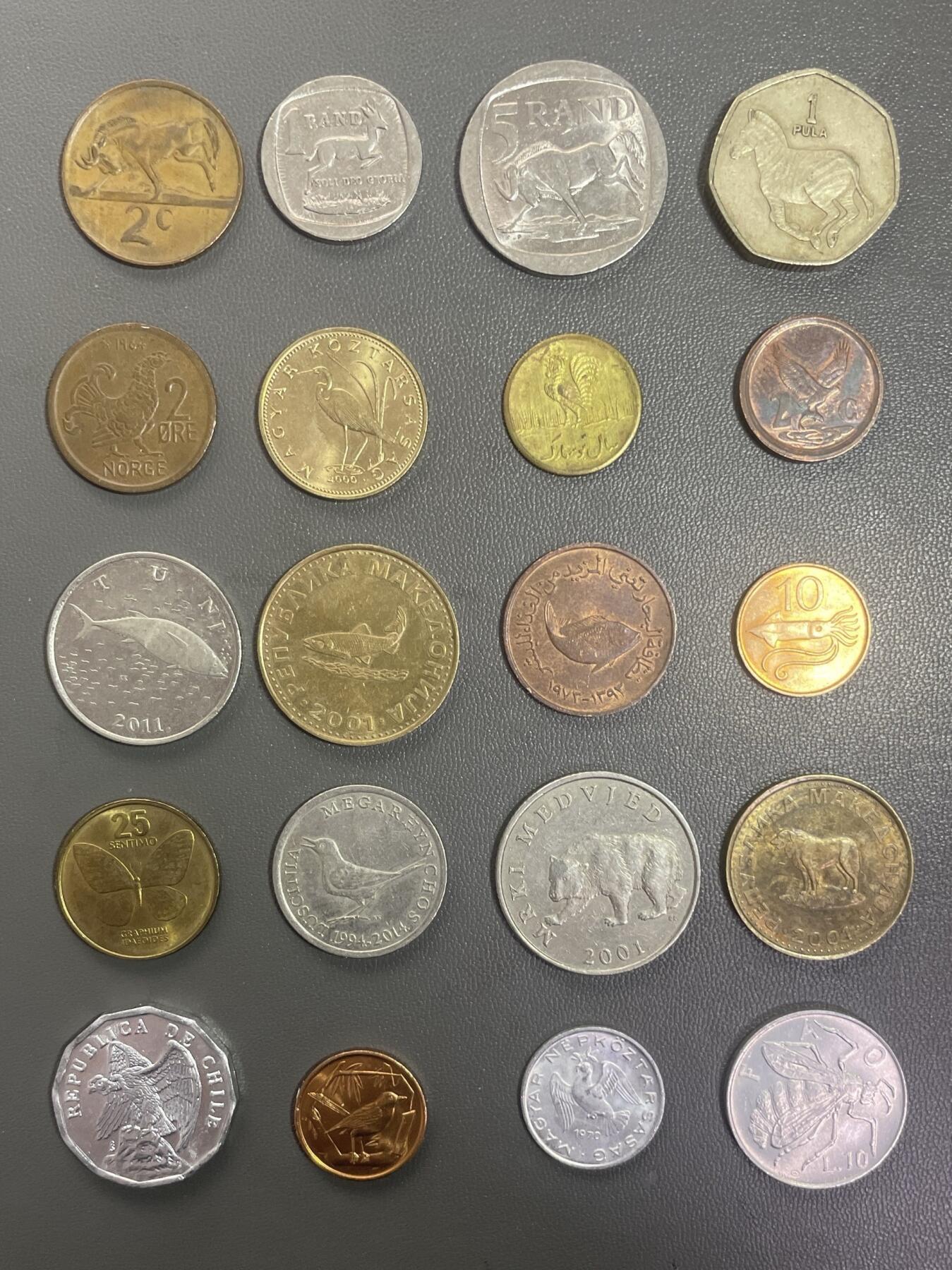 回流0125 飞禽走兽20枚