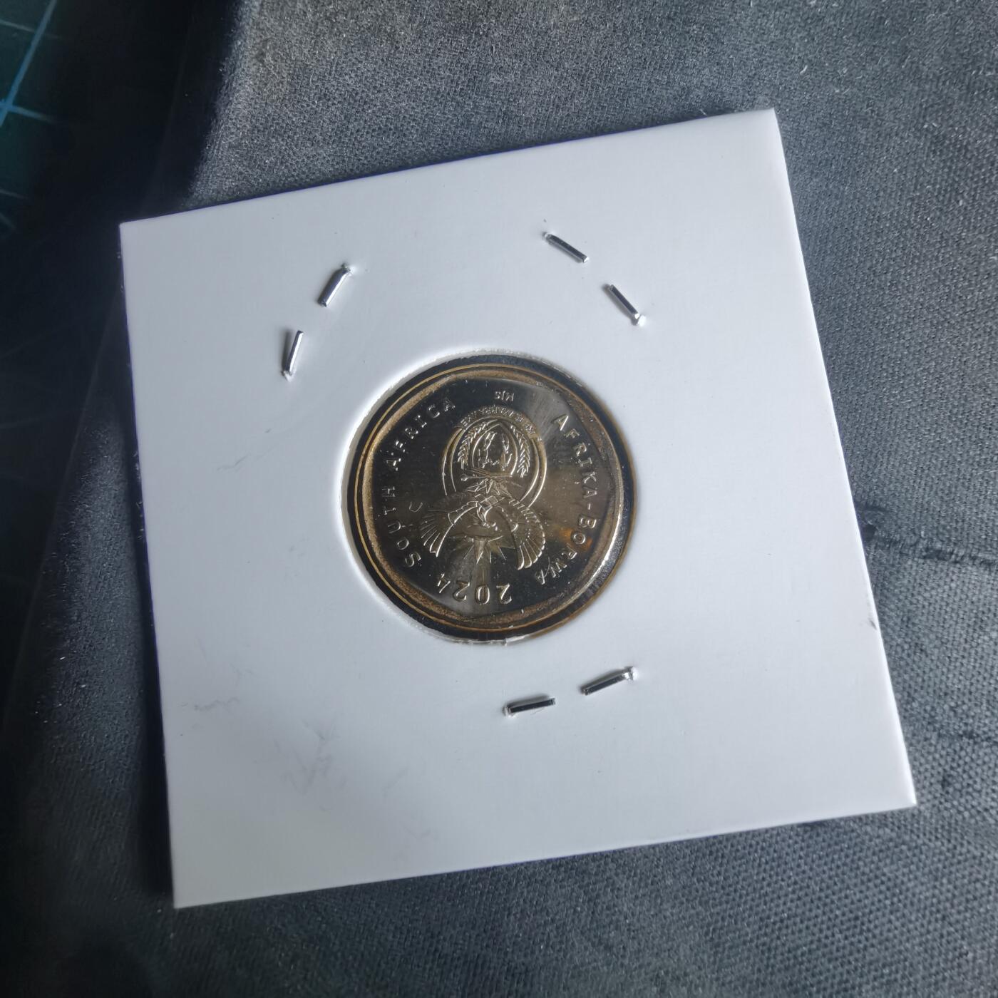 沼泽如烟--第977场 南非2024年20分