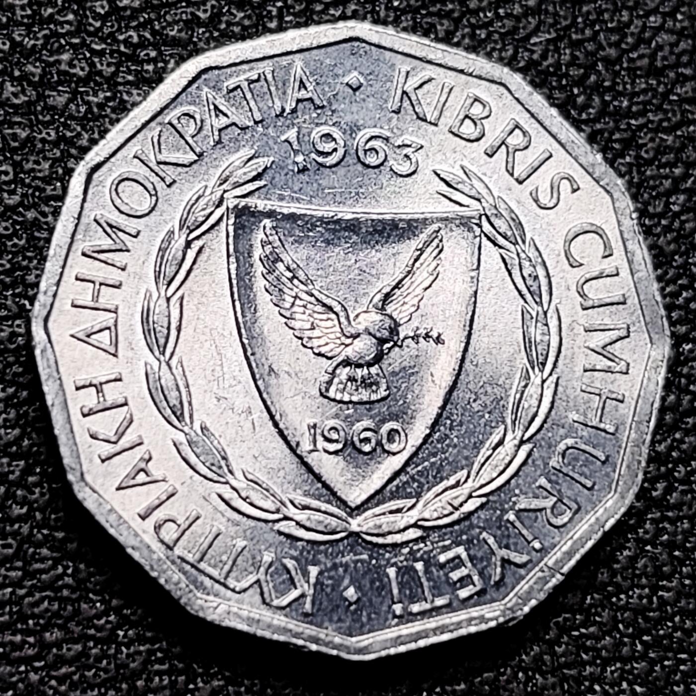 泉币菌-第176场- 精品福利场 。