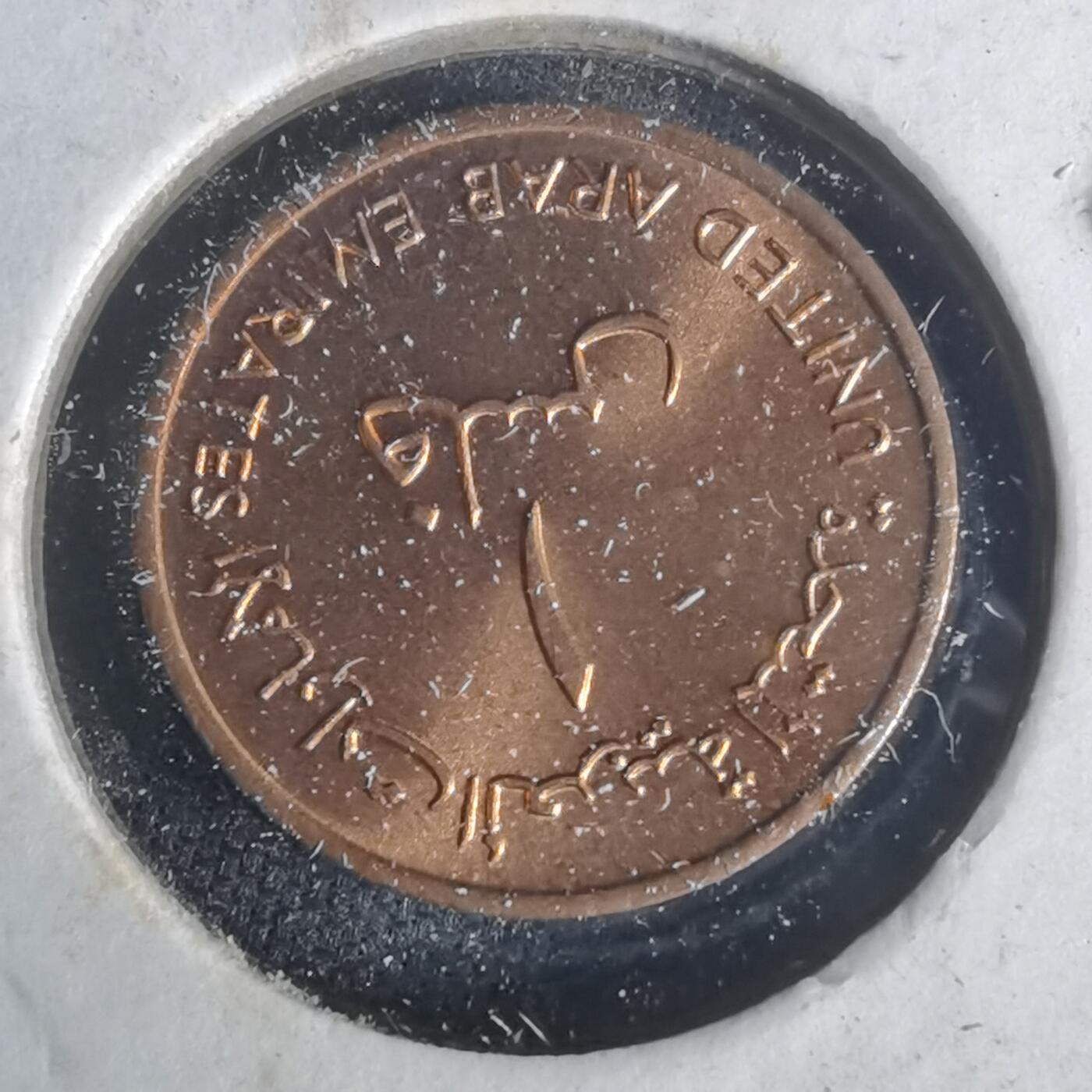 沼泽如烟--第977场 阿联酋