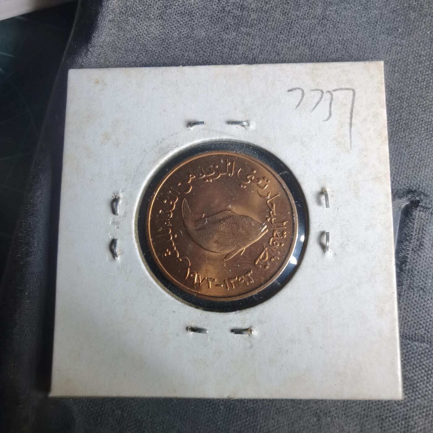 沼泽如烟--第977场 阿联酋