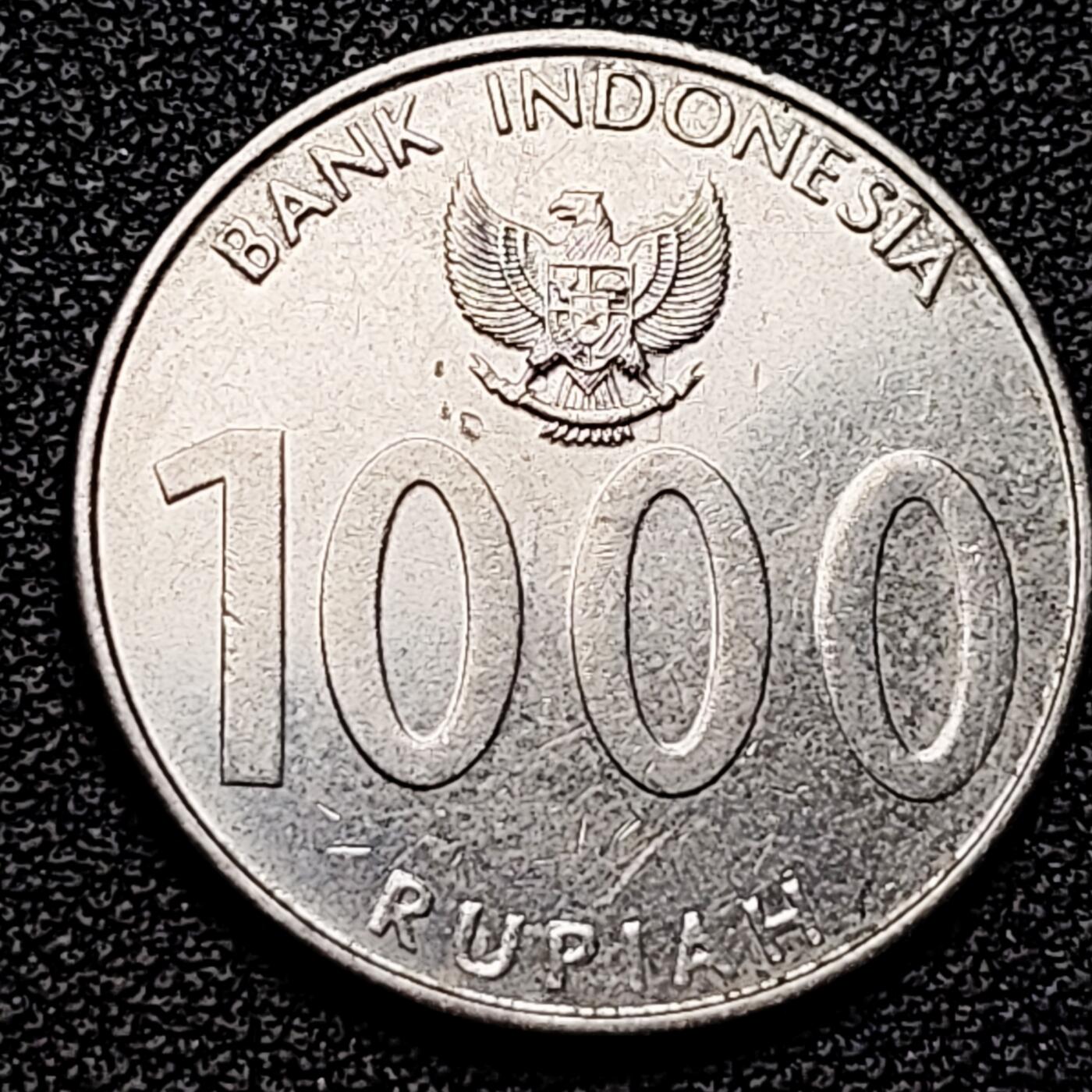 泉币菌-第176场- 精品福利场 。