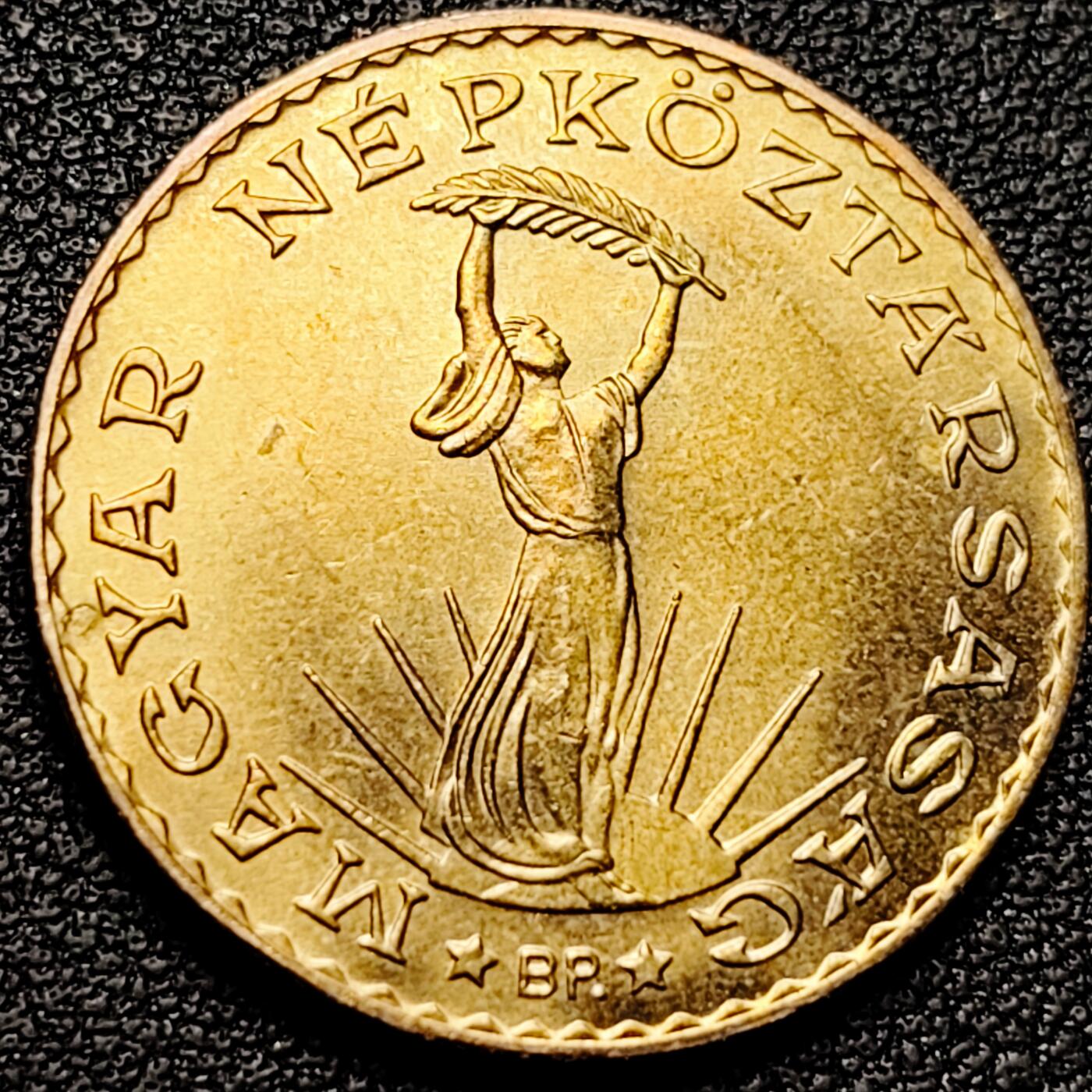 泉币菌-第176场- 精品福利场 。