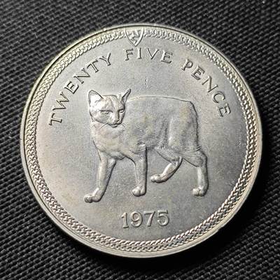 KK钱币收藏小铺  第400期  百期特拍（四拍之四）2月预留时间 周末发货 -  1975马恩岛1克朗形纪念币 无尾猫