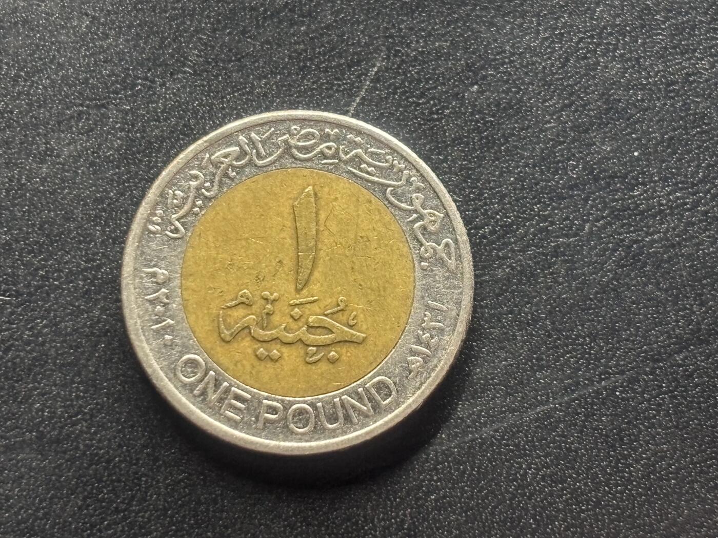 邮泉阁限时拍卖第四十场 非洲专场（硬币在国外。请付邮费6元。） 埃及2010年1磅