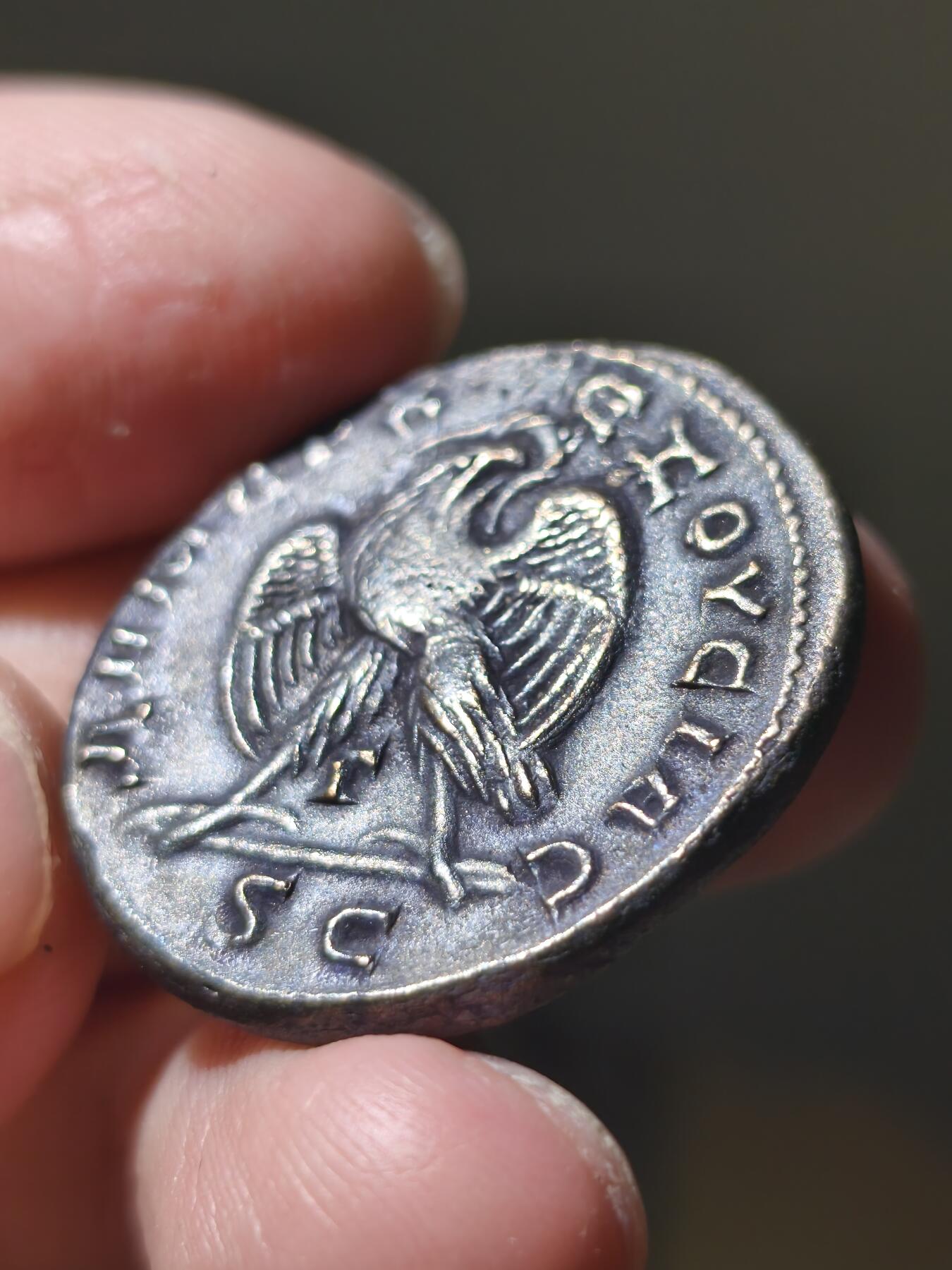 星盘世界钱币一月三十一日丝绸之路 - 世界古典币专场