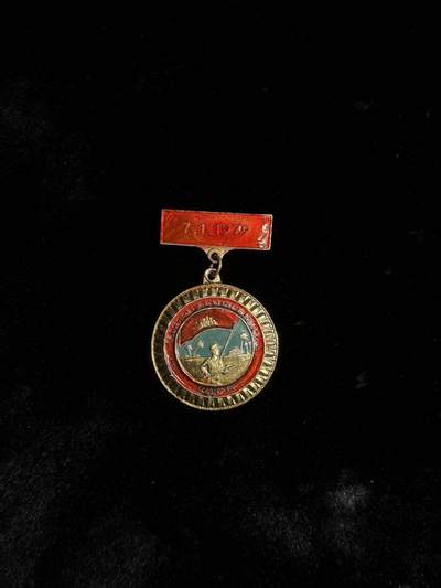 戎马世界章牌大赏第110期 - 越南战胜波尔布特政权奖章，漆面有补