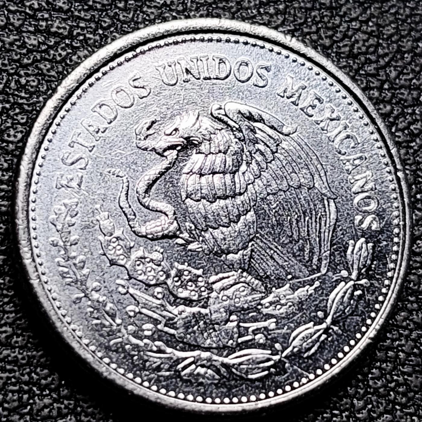 泉币菌-第176场- 精品福利场 。