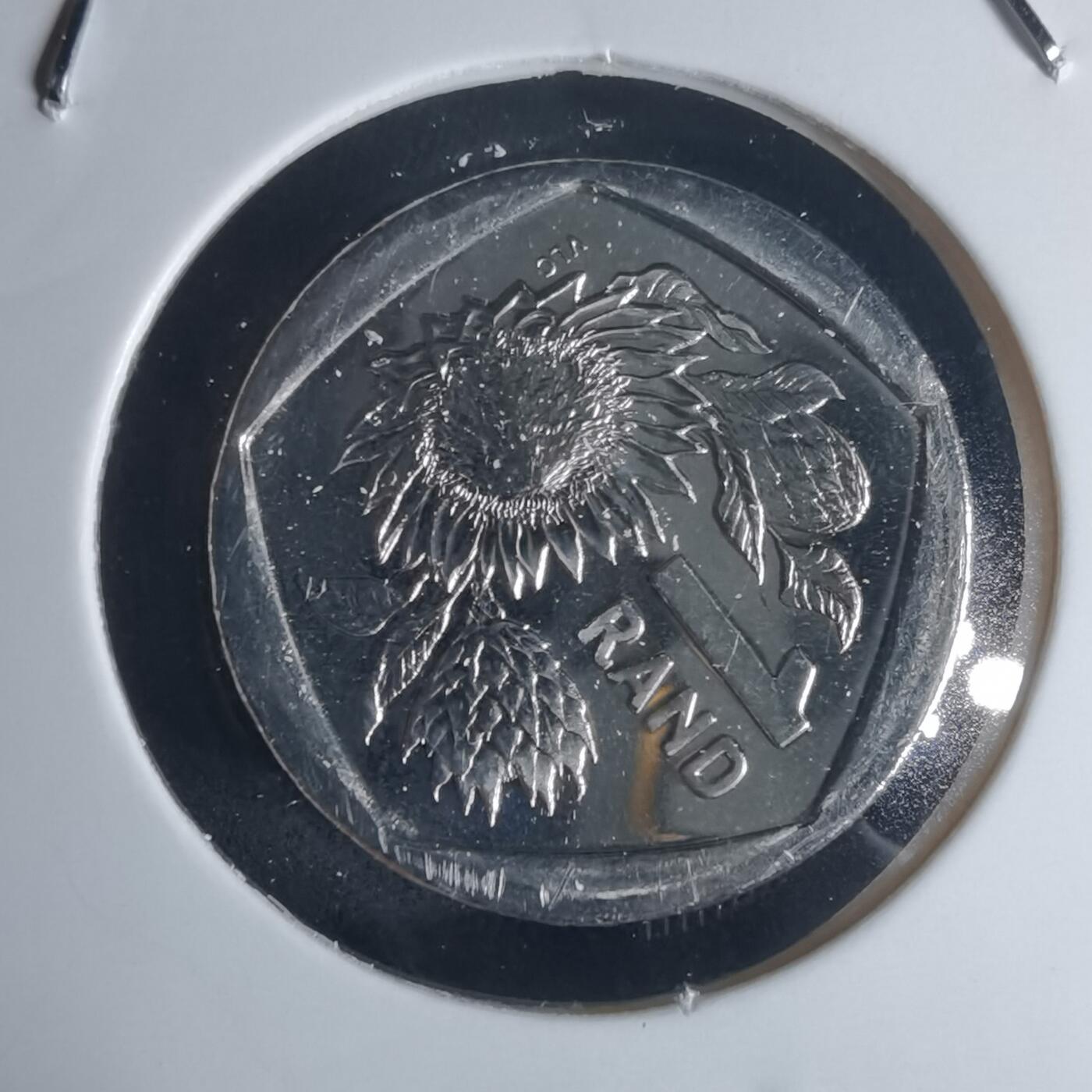 沼泽如烟--第977场