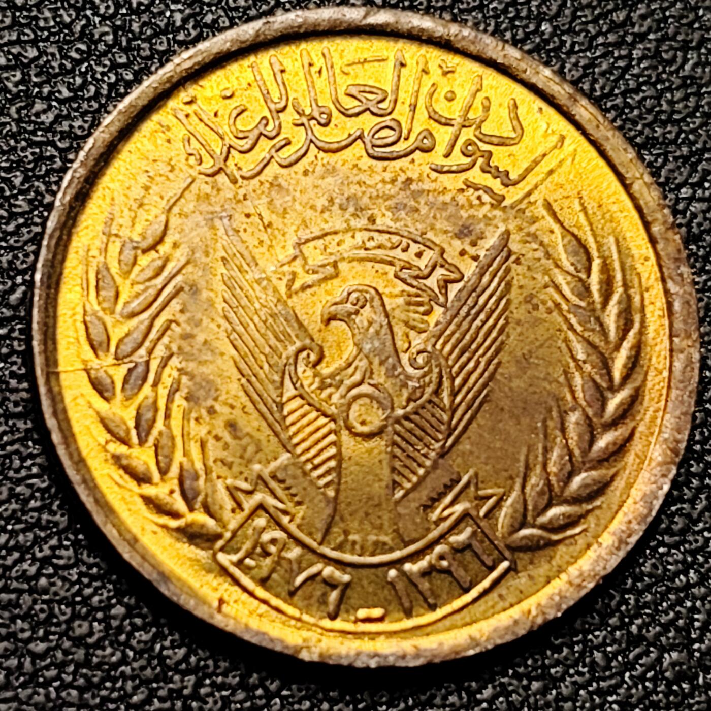 泉币菌-第176场- 精品福利场 。