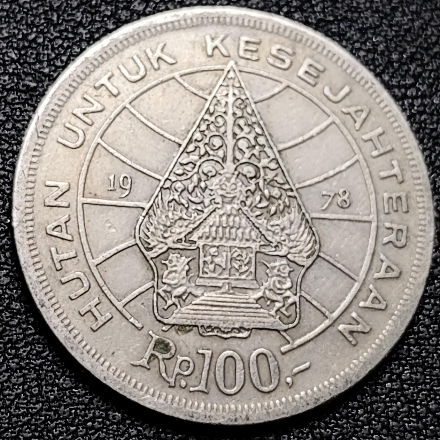 泉币菌-第177场- 精品福利场 。