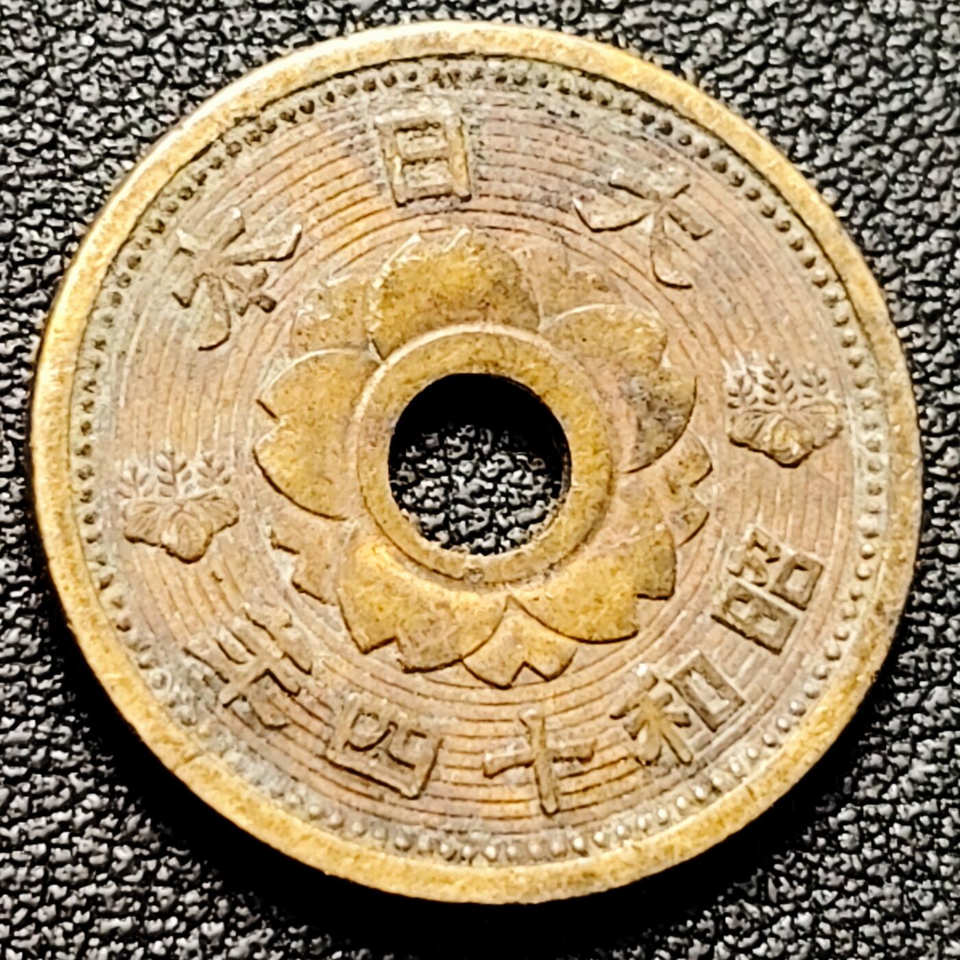 泉币菌-第176场- 精品福利场 。