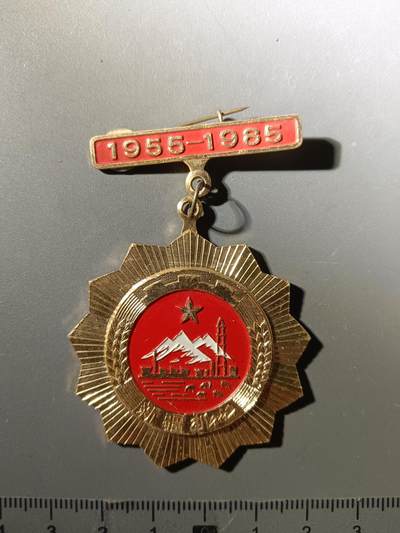 113期新疆红钱粟特钱币丝路钱币专场 - 新疆工作三十周年纪念章