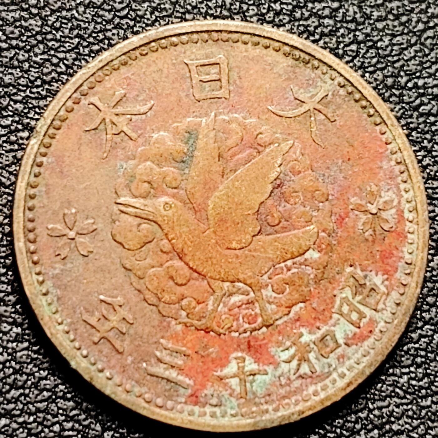 泉币菌-第177场- 精品福利场 。