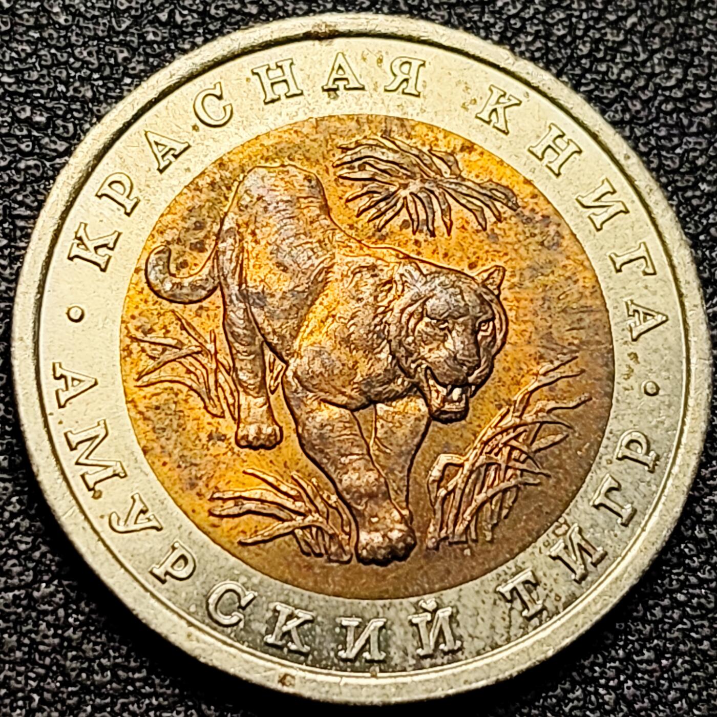 泉币菌-第177场- 精品福利场 全网稀少  原光极美 俄罗斯珍惜动物币-1992年10卢布 阿穆尔虎(东北虎) 25.2×1.8mm 