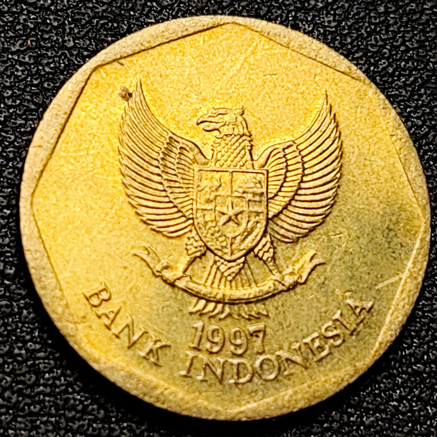 泉币菌-第177场- 精品福利场 。