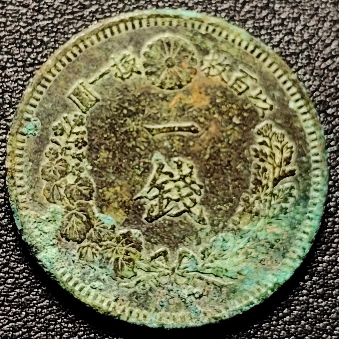 泉币菌-第177场- 精品福利场 。