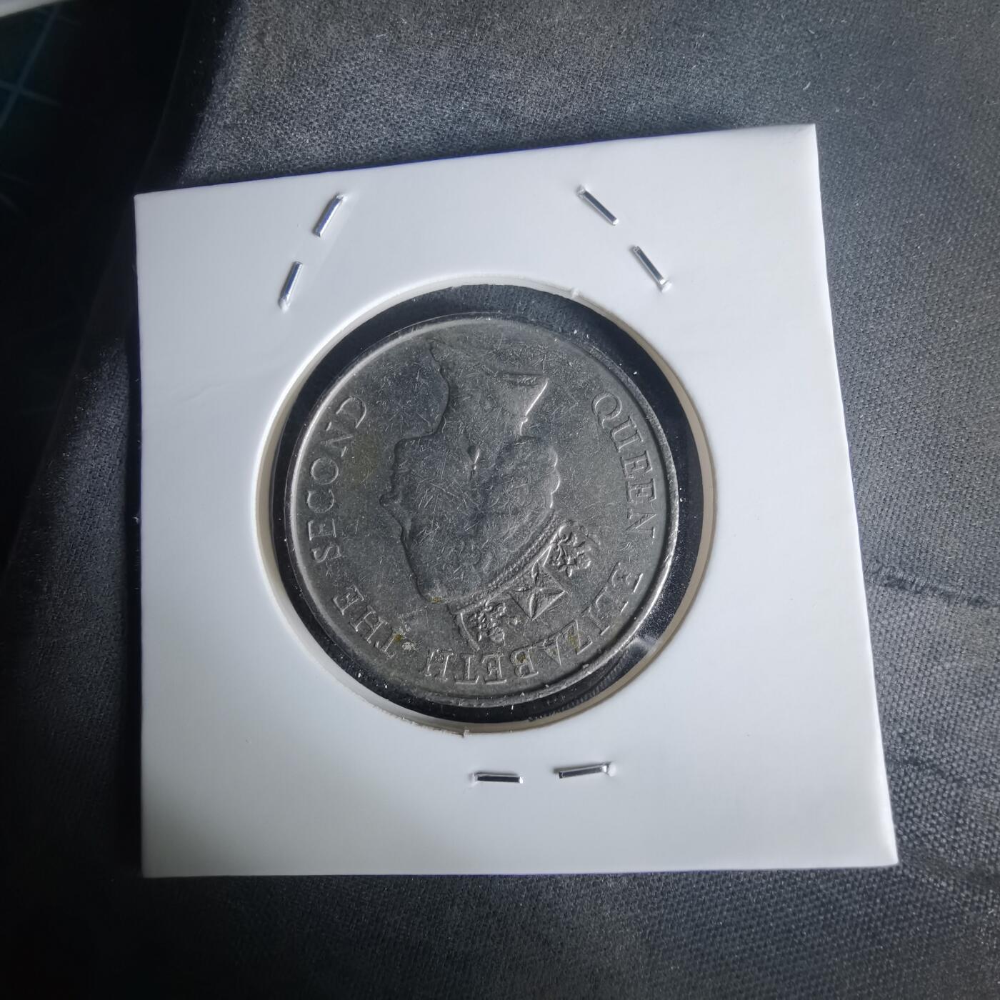 沼泽如烟--第977场