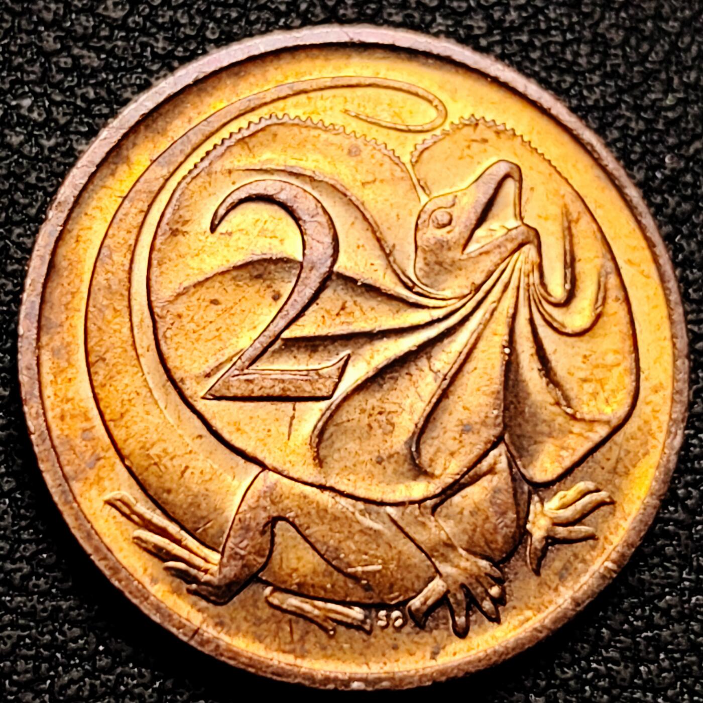 泉币菌-第177场- 精品福利场 。