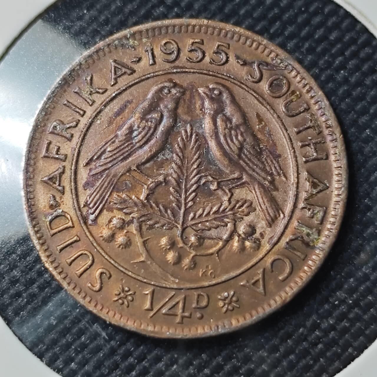 KK钱币收藏小铺  第390期  2月预留时间 周末发货  英属南非1/4D