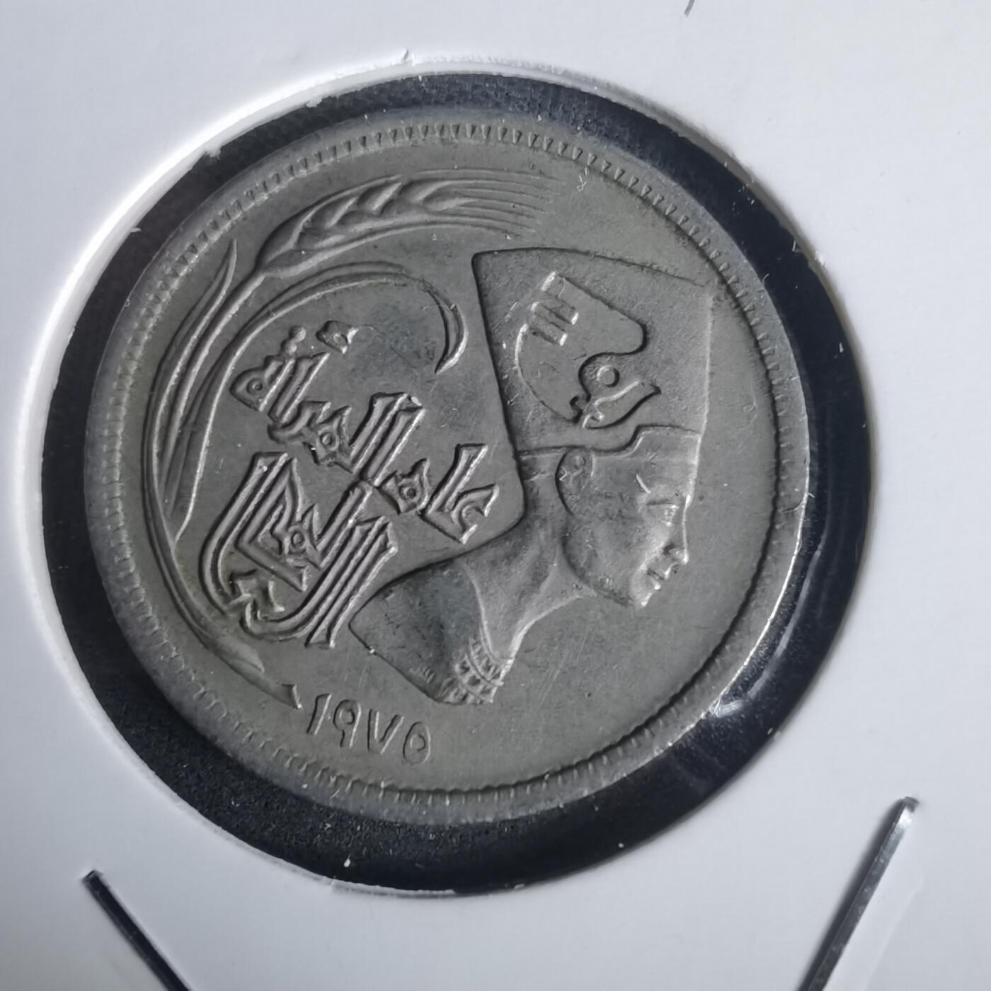 沼泽如烟--第976场 埃及