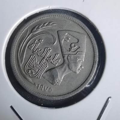 沼泽如烟--第976场 - 埃及