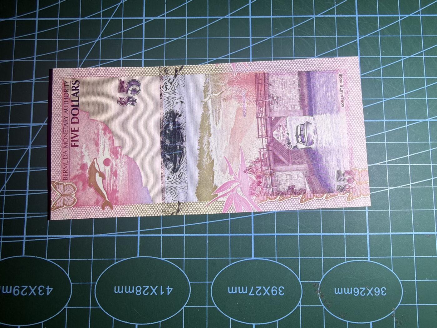 【炜奕收藏】，第五十八期，英属第三场