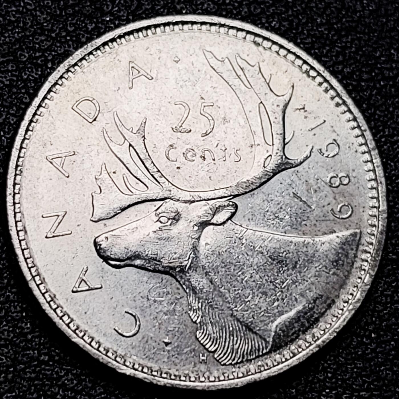 泉币菌-第177场- 精品福利场 。