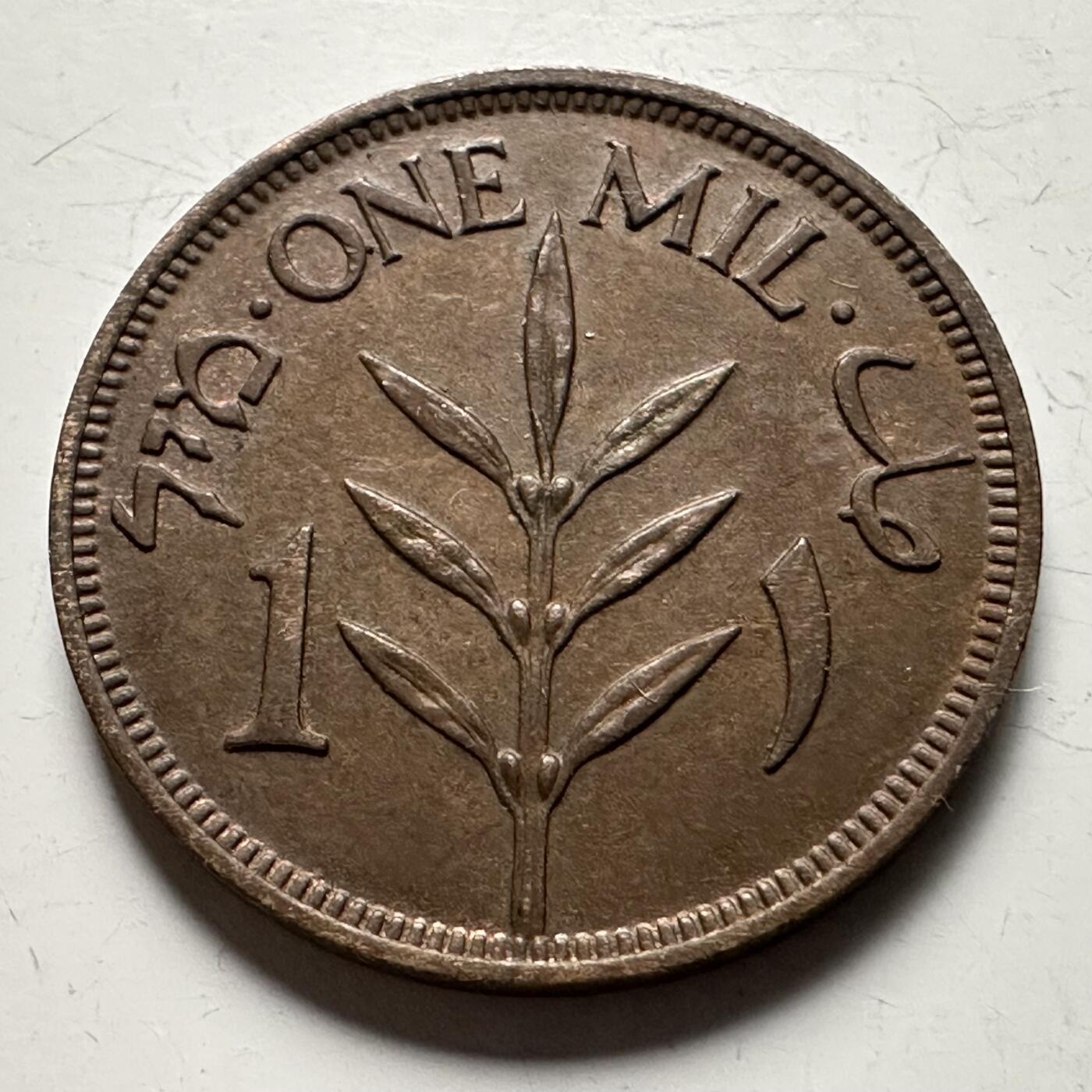 🌹外币初藏🌹🐯2026年第13场  每周二四六晚8️⃣点 接代拍 巴勒斯坦1939年一米尔 a