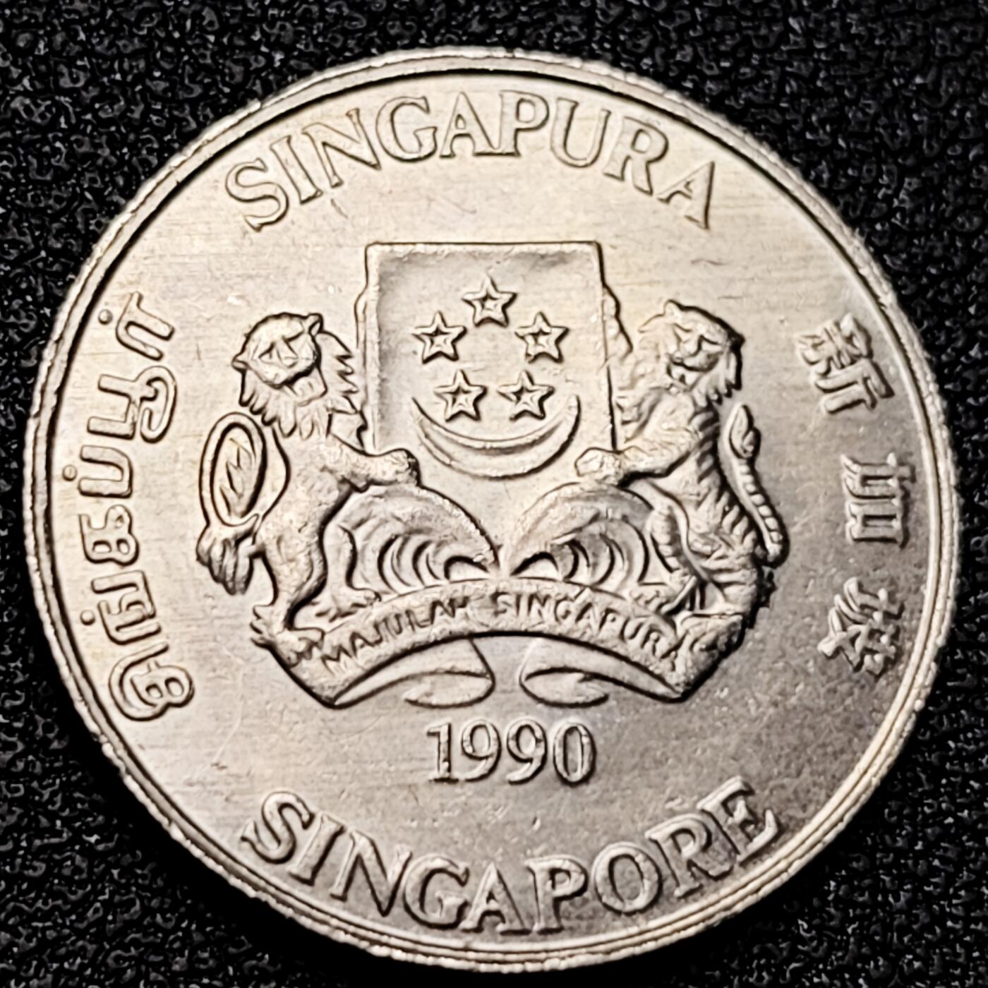 泉币菌-第177场- 精品福利场 。