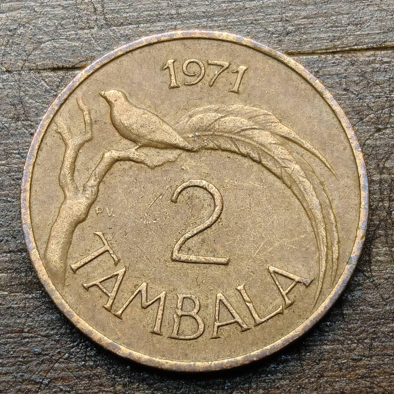 【铜匠收藏】★第142★散币专场 不寄存，30包邮。不满30元，支付5元运费。《接受代拍 代送NGC评级》 17【无寄存】马拉维 1971年 2坦巴拉 铜币